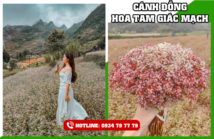 Đăng ký tour du lịch Hà Nội Hà Giang 5 ngày 4 đêm giá 4.990.000 | INTOUR uy tín chất lượng. Liên hệ báo giá tour 0934 79 77 79.