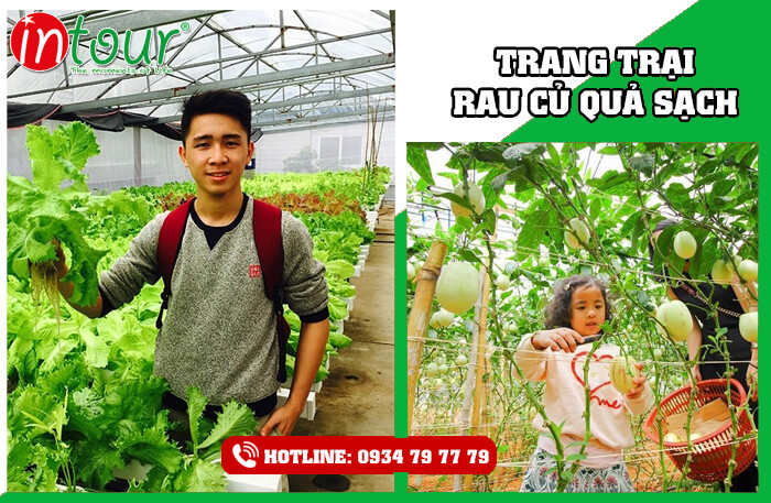 Tour du lịch giá rẻ Nha Trang - Đà Lạt 2.590.000Đ (4 ngày 4 đêm)