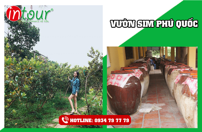 Đăng ký tour du lịch Phú Quốc 3 ngày 2 đêm bao gồm vé máy bay giá 3.850.000| INTOUR uy tín chất lượng. Liên hệ báo giá tour 0934 79 77 79.