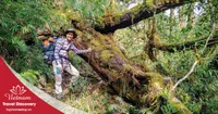  trekking leo núi Pu Ta Leng 3 ngày 2 đêm