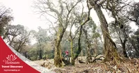  trekking leo núi Khang Su Văn 3 ngày 2 đêm