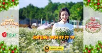  miền Tây Đồng Tháp - Chùa Lá Sen 2 ngày 1 đêm Tết Dương Lịch 2026