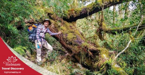  trekking leo núi Pu Ta Leng 3 ngày 2 đêm