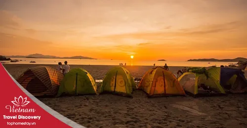  Cắm Trại + BBQ Bãi biển FLC Nhơn Lý Quy Nhơn 1 Đêm