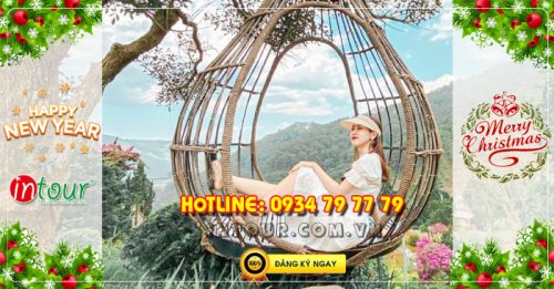  Đà Lạt 3 ngày 2 đêm Tết Dương Lịch 2026