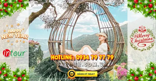  Đà Lạt 3 ngày 2 đêm Tết Dương Lịch 2026