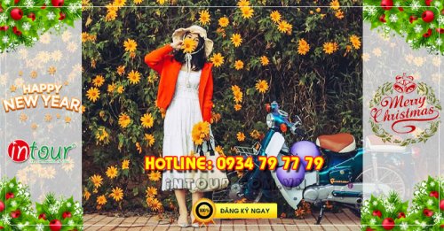  Đà Lạt 3 ngày 3 đêm Tết Dương Lịch 2026