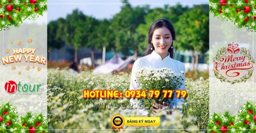  miền Tây Đồng Tháp - Chùa Lá Sen 2 ngày 1 đêm Tết Dương Lịch 2026